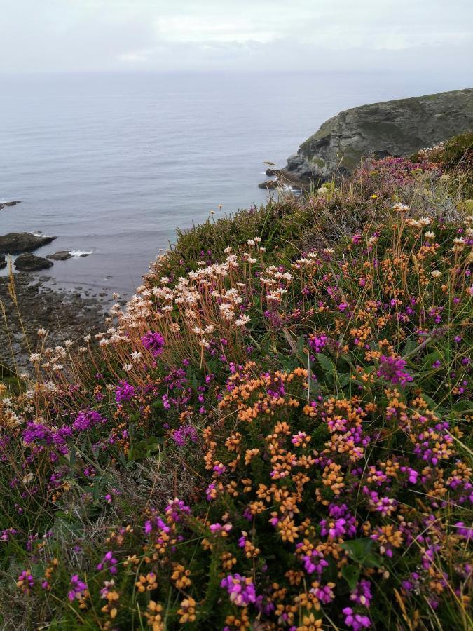 Captivating Isolde Cottage With Pool Near St Ives Camborne Extérieur photo